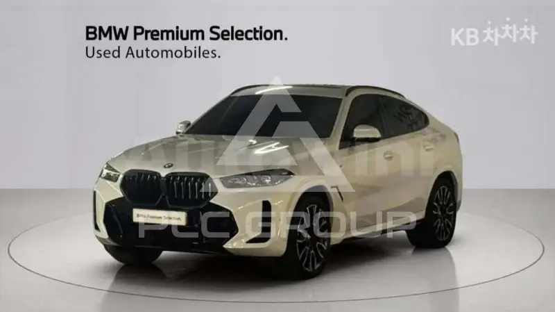 2024 BMW X6