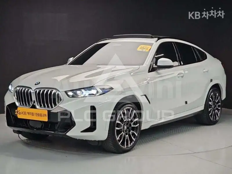 2024 BMW X6