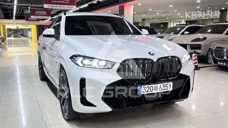 2024 BMW X6