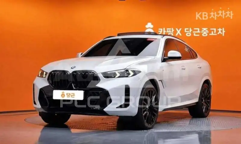 2024 BMW X6