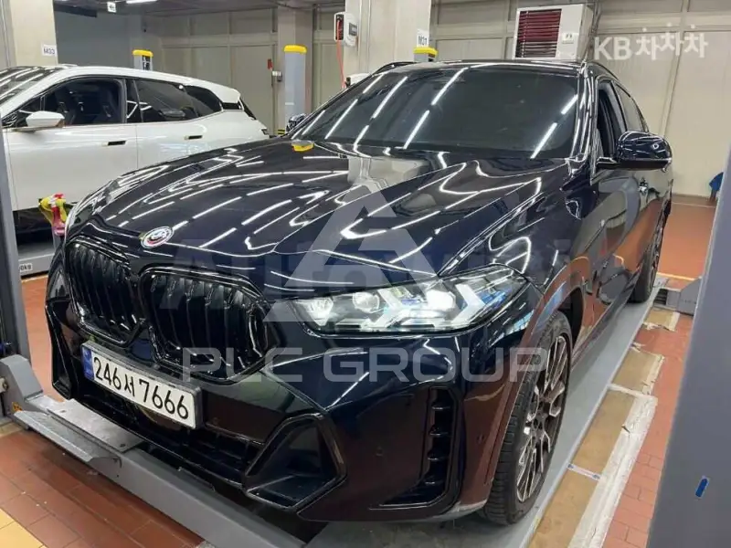 2024 BMW X6