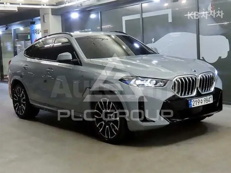 2024 BMW X6