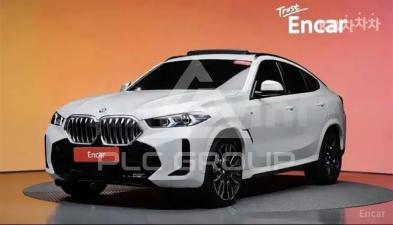 2024 BMW X6