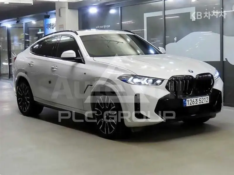2024 BMW X6