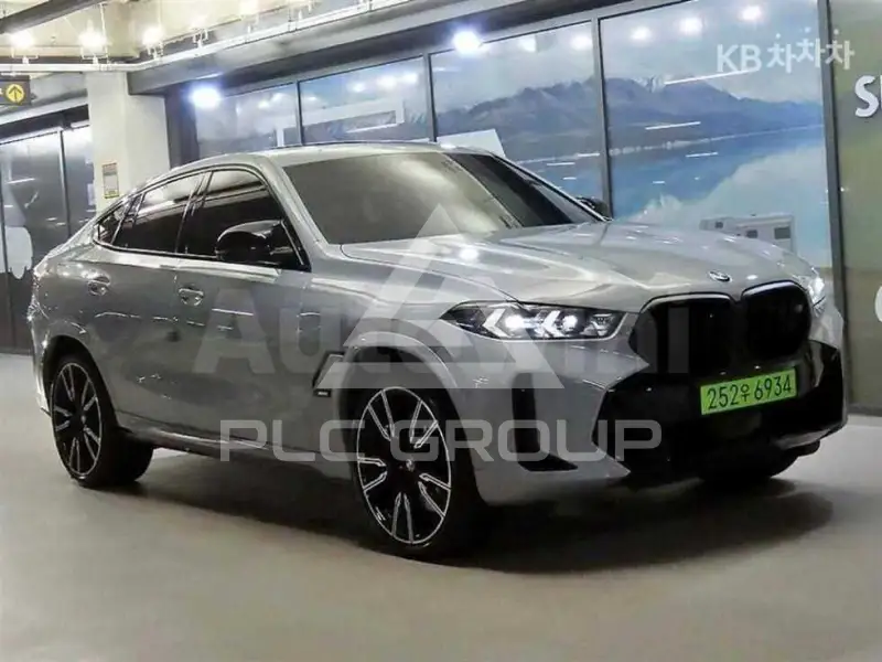 2024 BMW X6