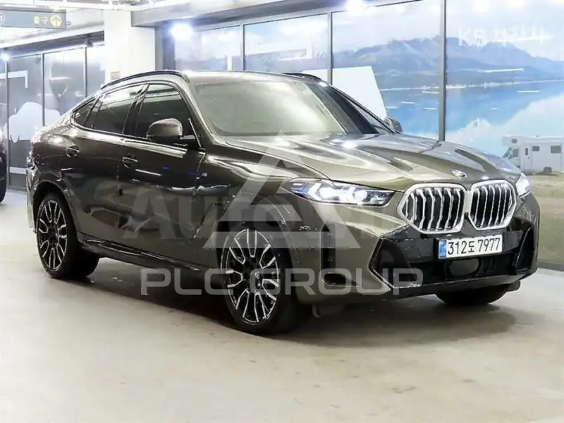 2024 BMW X6