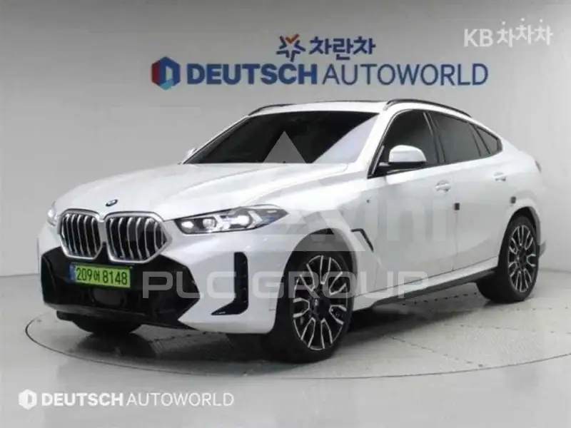 2024 BMW X6