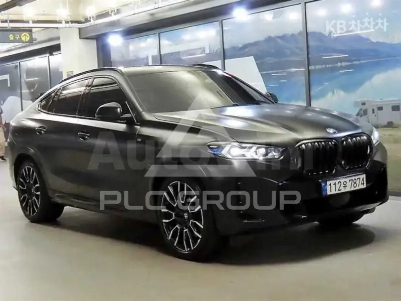 2024 BMW X6