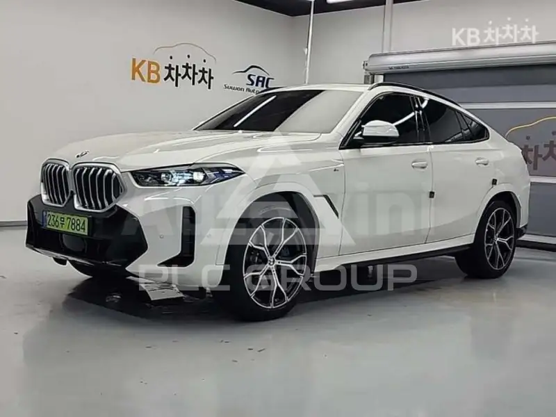 2024 BMW X6