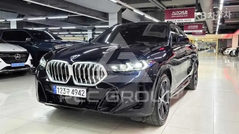 2024 BMW X6