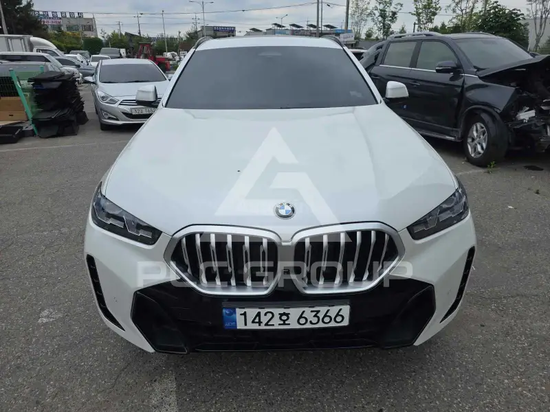 2024 BMW X6