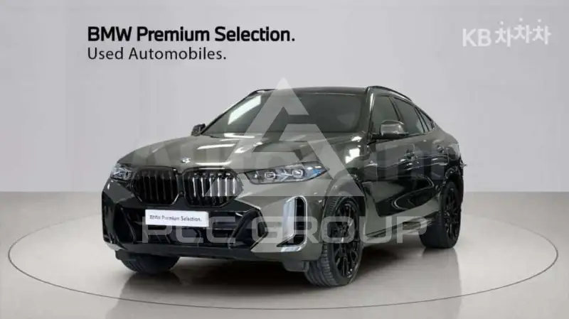 2024 BMW X6
