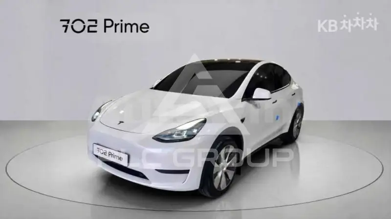 2024 Tesla Model Y