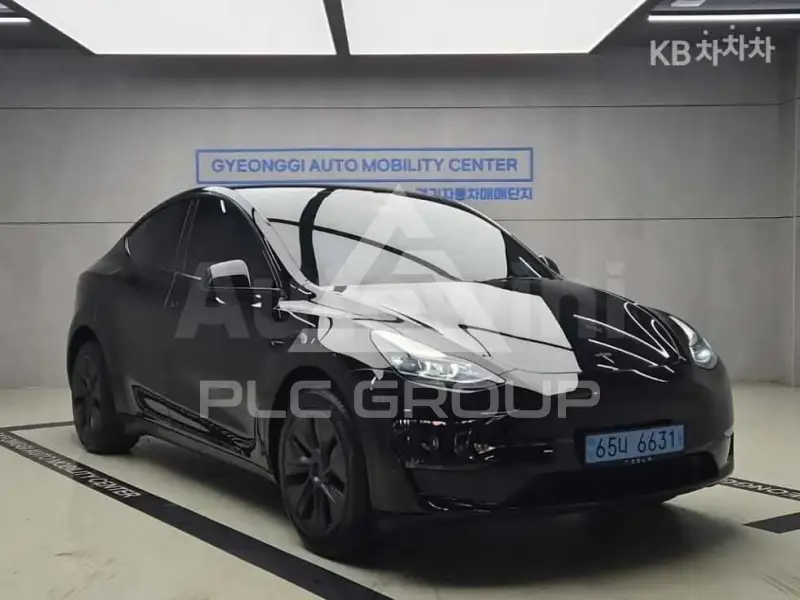 2024 Tesla Model Y