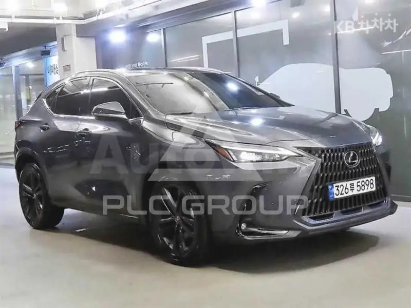 2024 Lexus NX