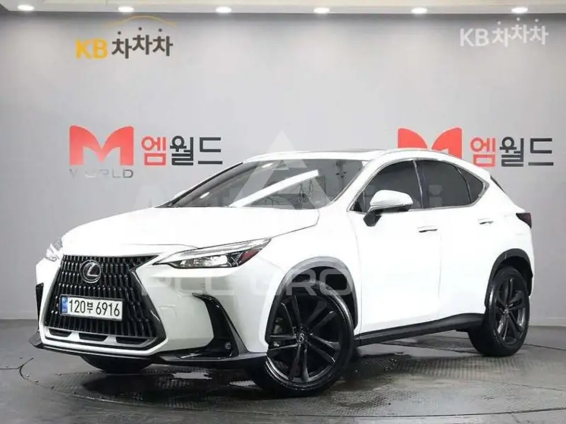 2024 Lexus NX