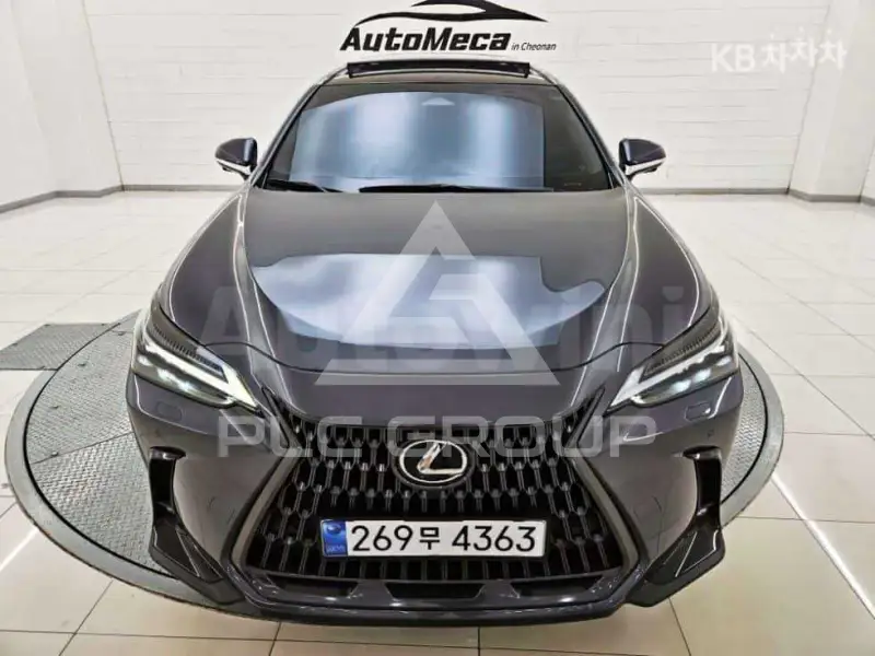 2024 Lexus NX