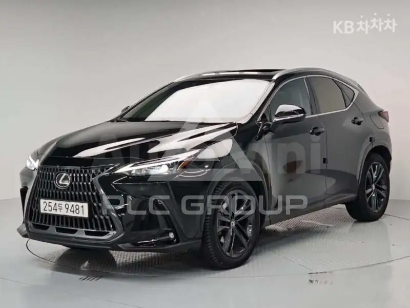 2024 Lexus NX
