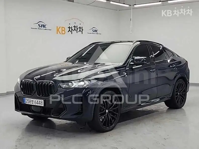 2025 BMW X6