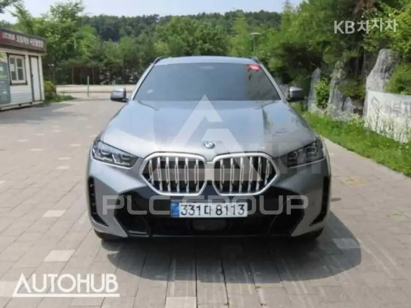 2025 BMW X6