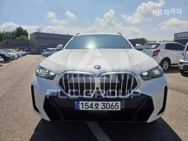 2025 BMW X6