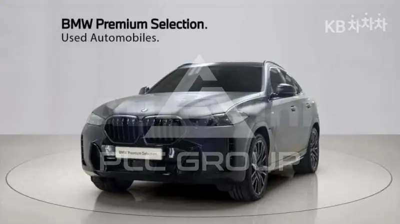 2025 BMW X6