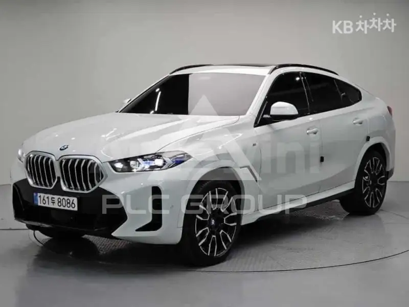 2025 BMW X6