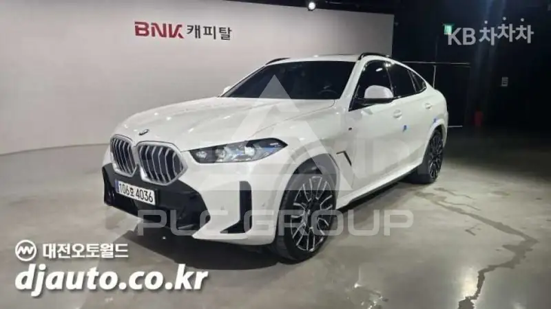 2025 BMW X6