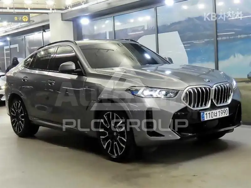 2025 BMW X6