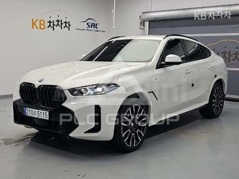 2025 BMW X6