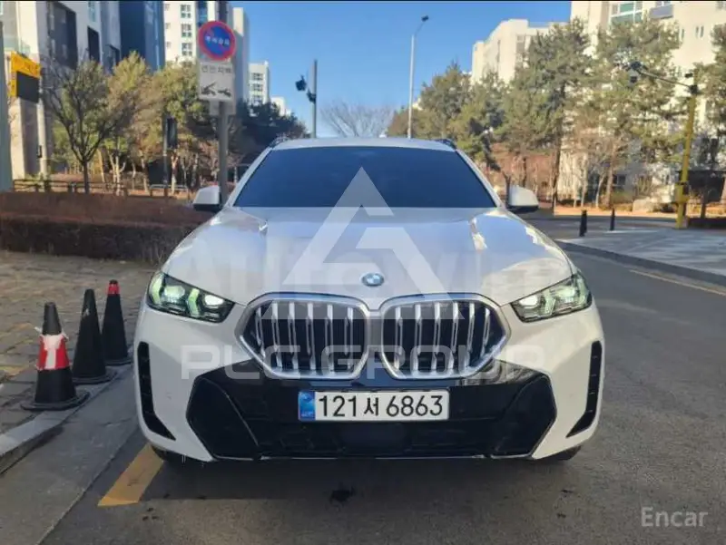 2025 BMW X6