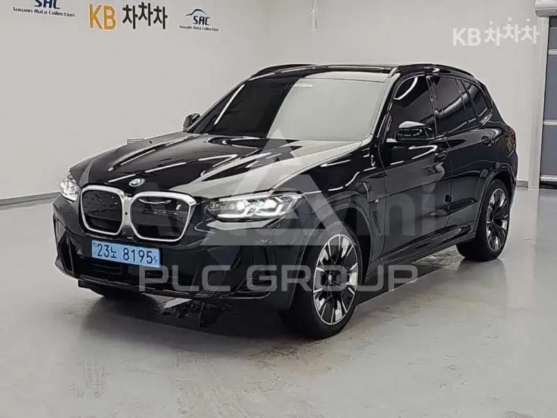 2025 BMW iX