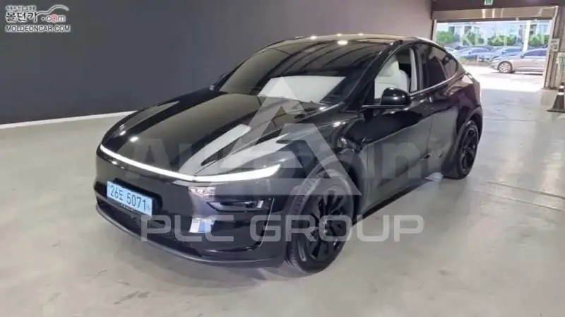 2025 Tesla Model Y
