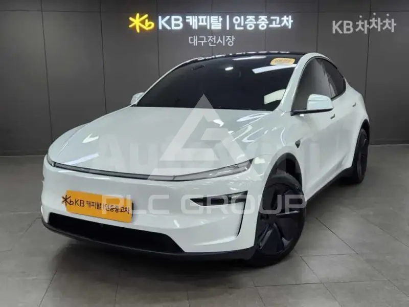 2025 Tesla Model Y