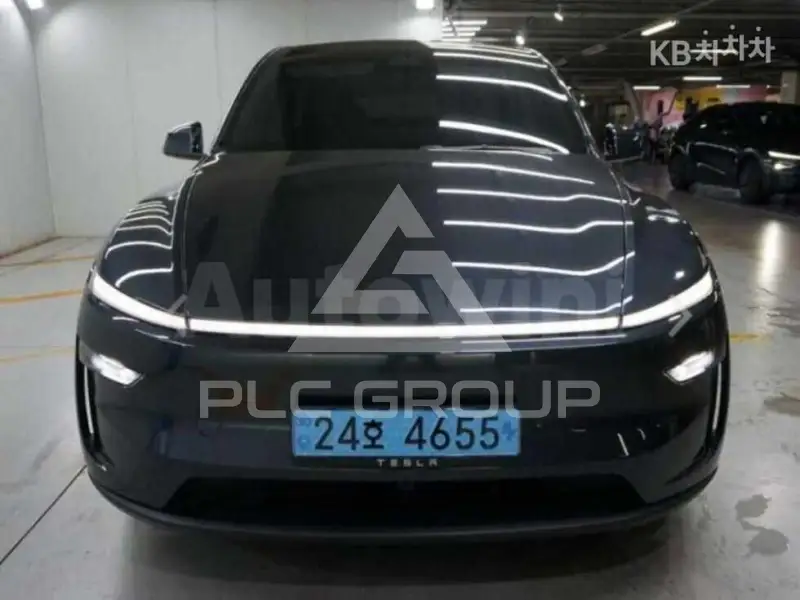 2025 Tesla Model Y