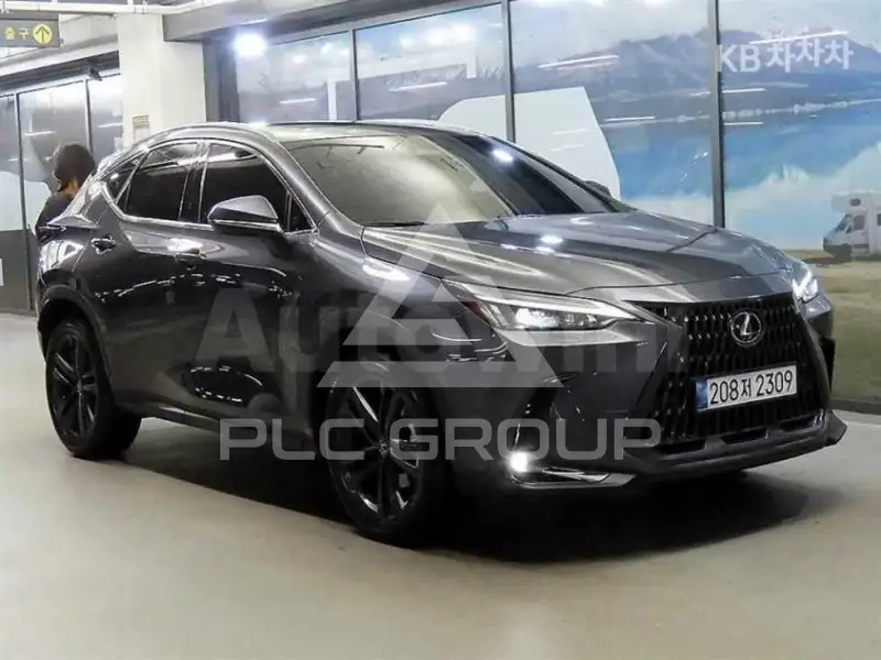 2025 Lexus NX