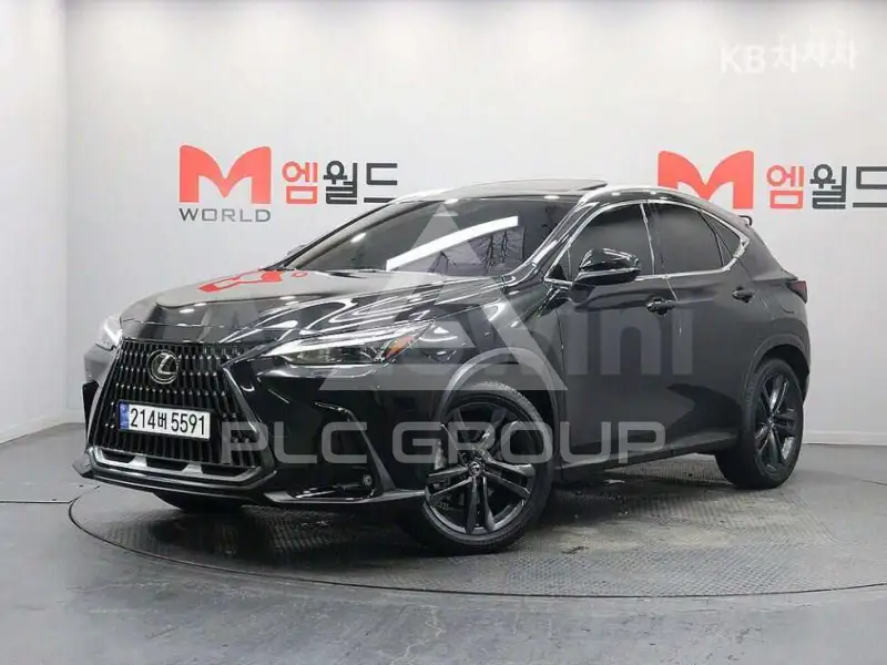 2025 Lexus NX