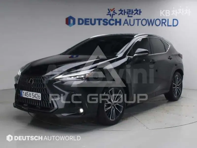 2025 Lexus NX