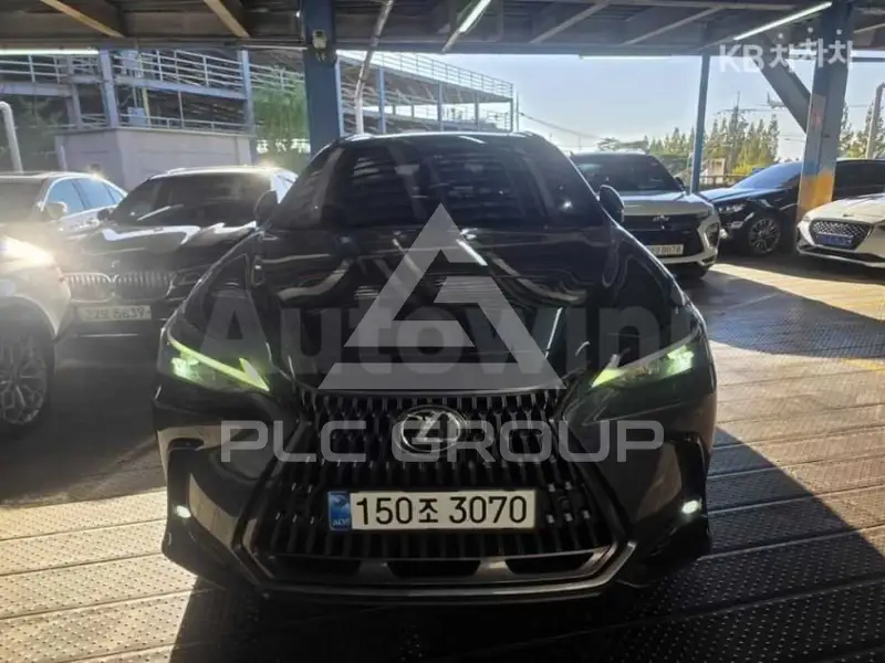 2025 Lexus NX