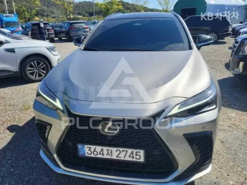 2025 Lexus NX