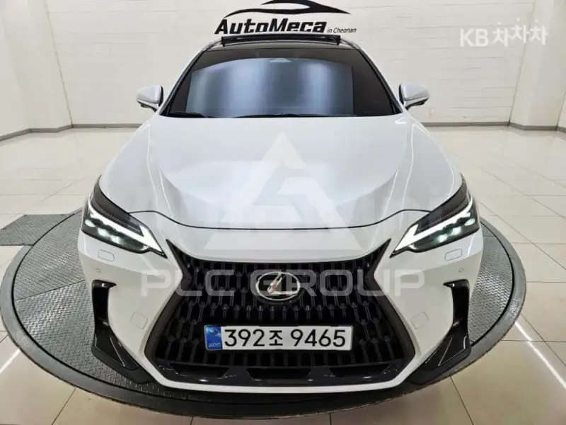 2025 Lexus NX