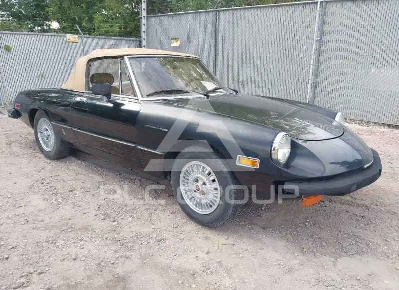 1979 Alfa Romeo Spider фото