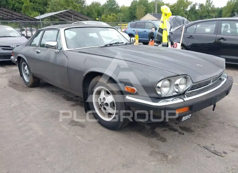 1985 Jaguar XJS фото