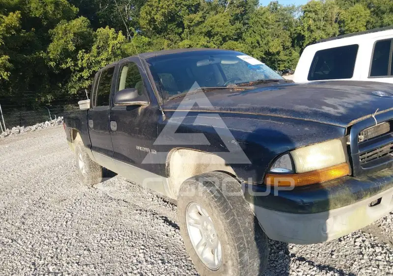 2001 Dodge DAKOTA фото