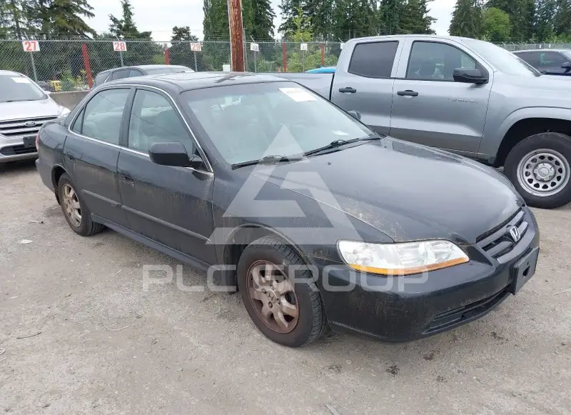 2001 Honda Accord фото