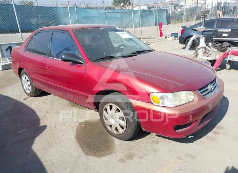 2001 Toyota COROLLA photo