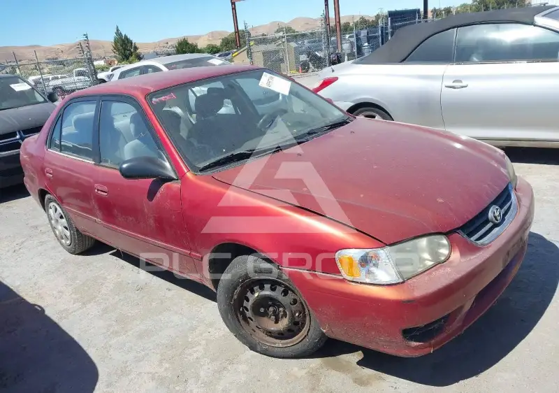 2001 Toyota COROLLA photo