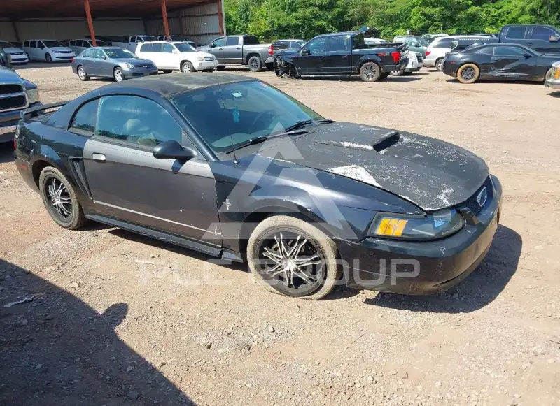 2001 Ford MUSTANG фото