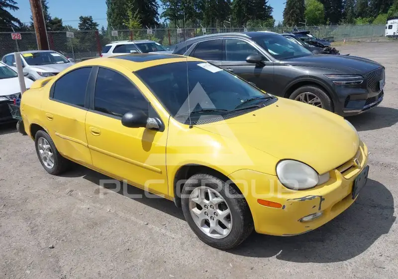 2002 Dodge NEON photo