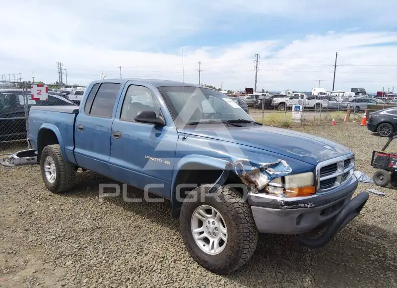2002 Dodge DAKOTA фото